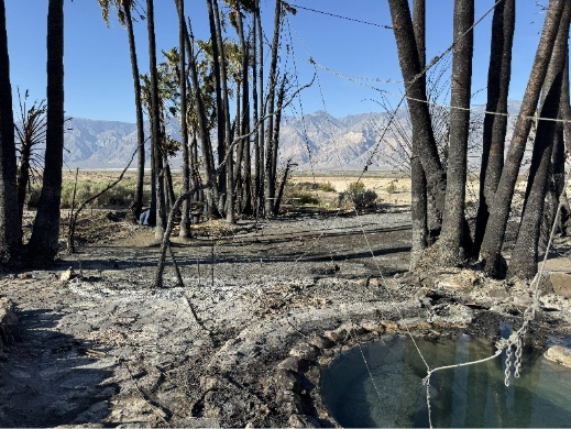 Fire-damaged landscape with charred, blackened palm trunks surrounding a small round pool or hot spring in the foreground, its water reflecting blue sky. Ash-covered ground and burned debris cover the area, with metal chains and cables crossing the scene.