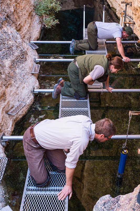 Three people on small platforms, suspended a little above the water in a spring.