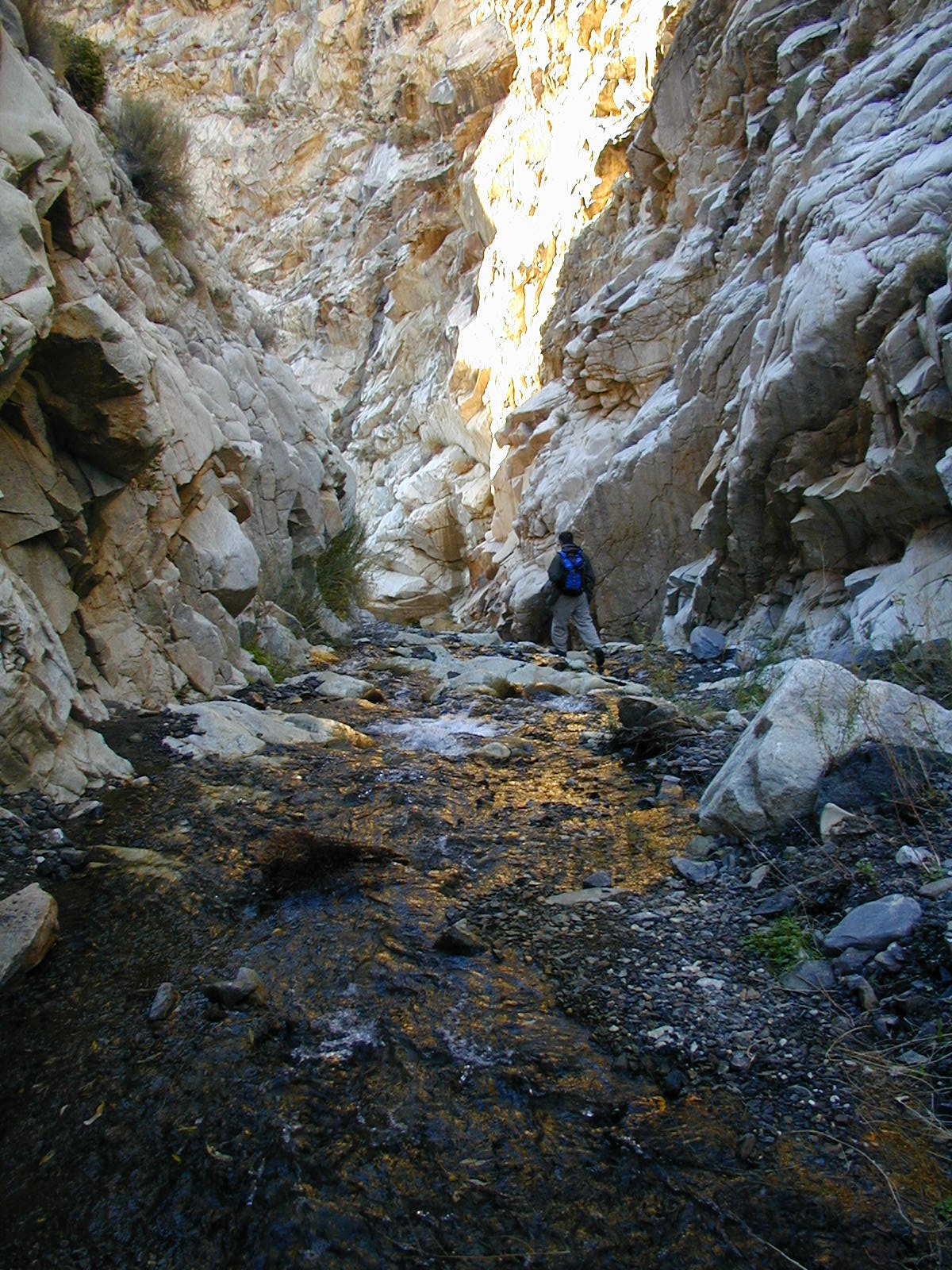 Photo of a hiker walking in Surprise Canyon Creek, in a narrow gorge with vertical canyon walls.