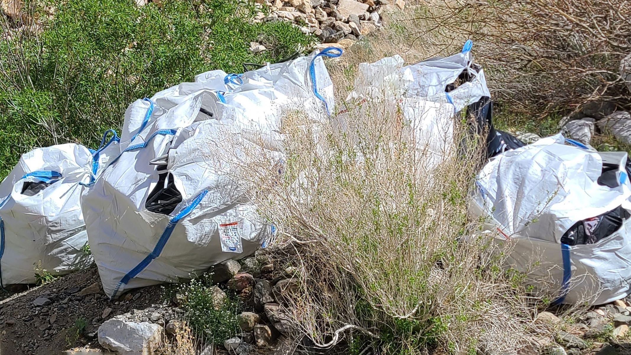 White trash bags piled among bushes and rocks.