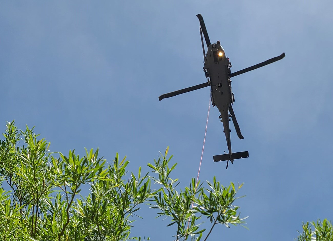 Helicopter flying against a blue sky, the image was taken through green leaves of some vegetation.