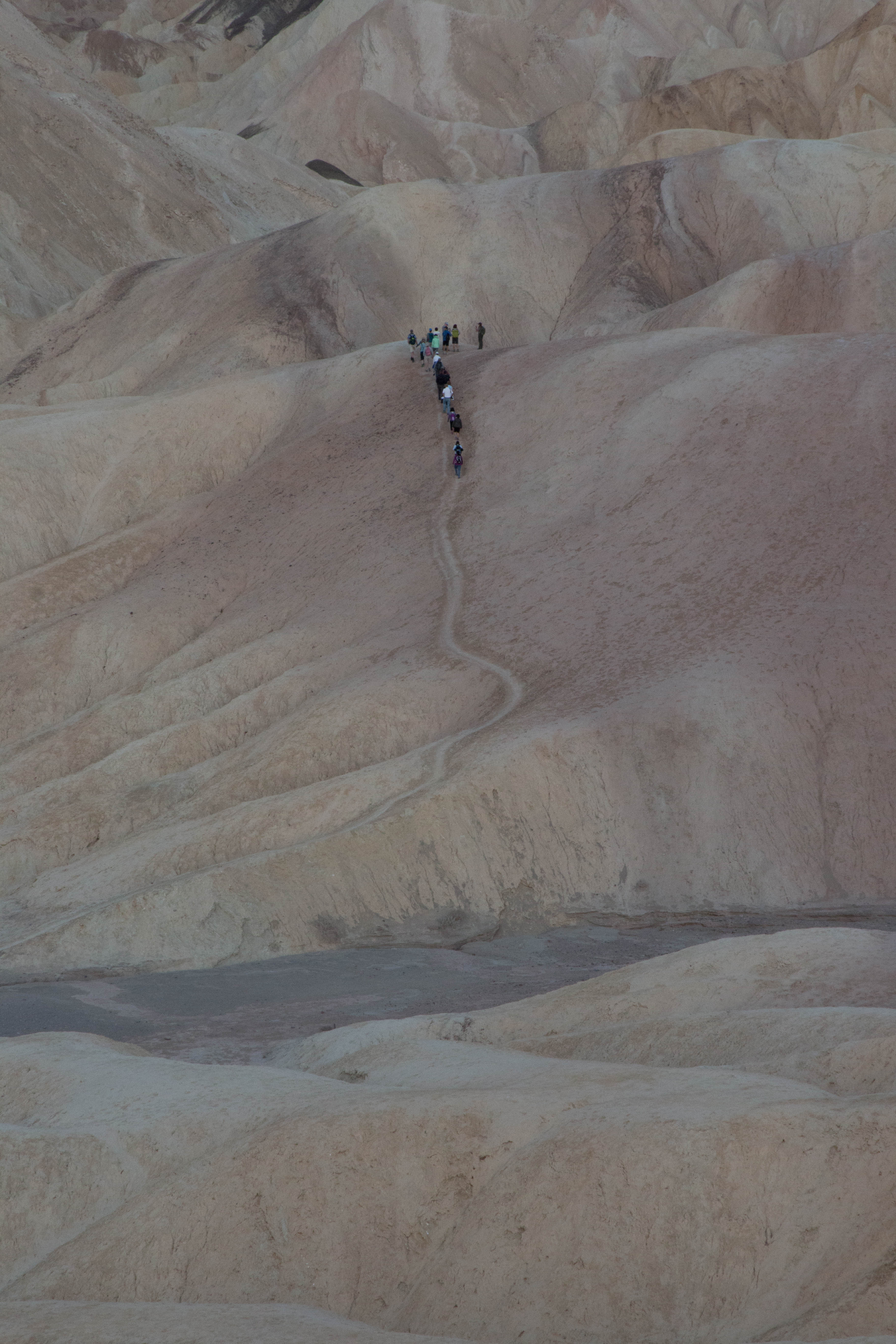 Zabriskie Point sunrise ranger guided hike. A group of hikers travel up a path through highly eroded desert hills.