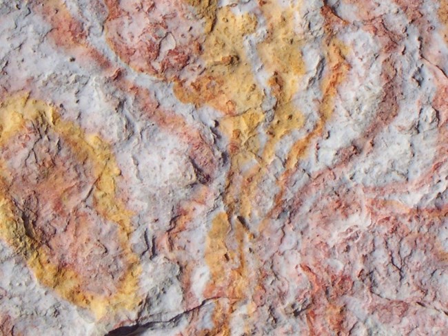 Mineral deposits create a swirl of colorful patterns in the canyon wall.