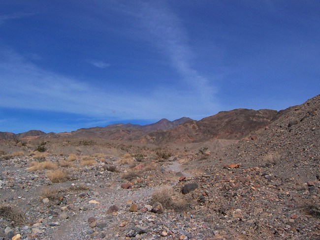 An unmarked trail over rocky terrain under bright blue sky.
