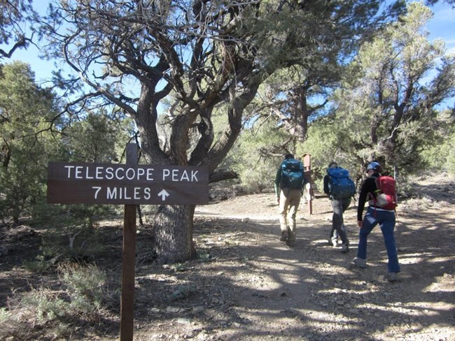 Three hikers walk up a forested trail past the sign to Telescope Peak