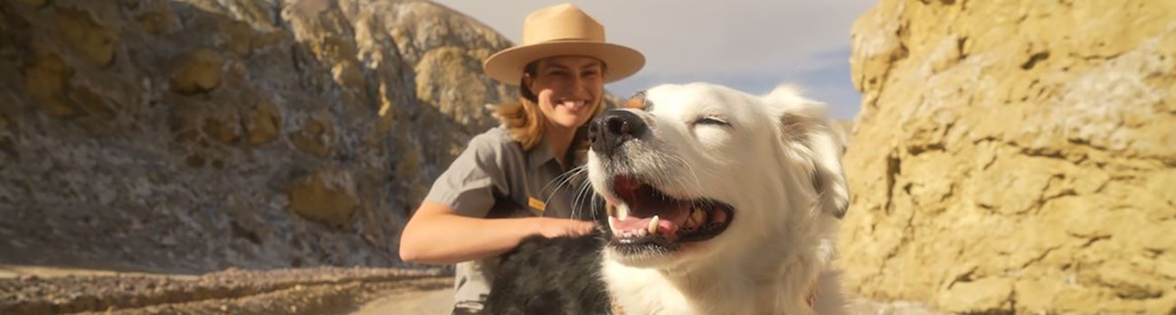 Uniformed ranger pets a dog on leave in a rugged yellow canyon.