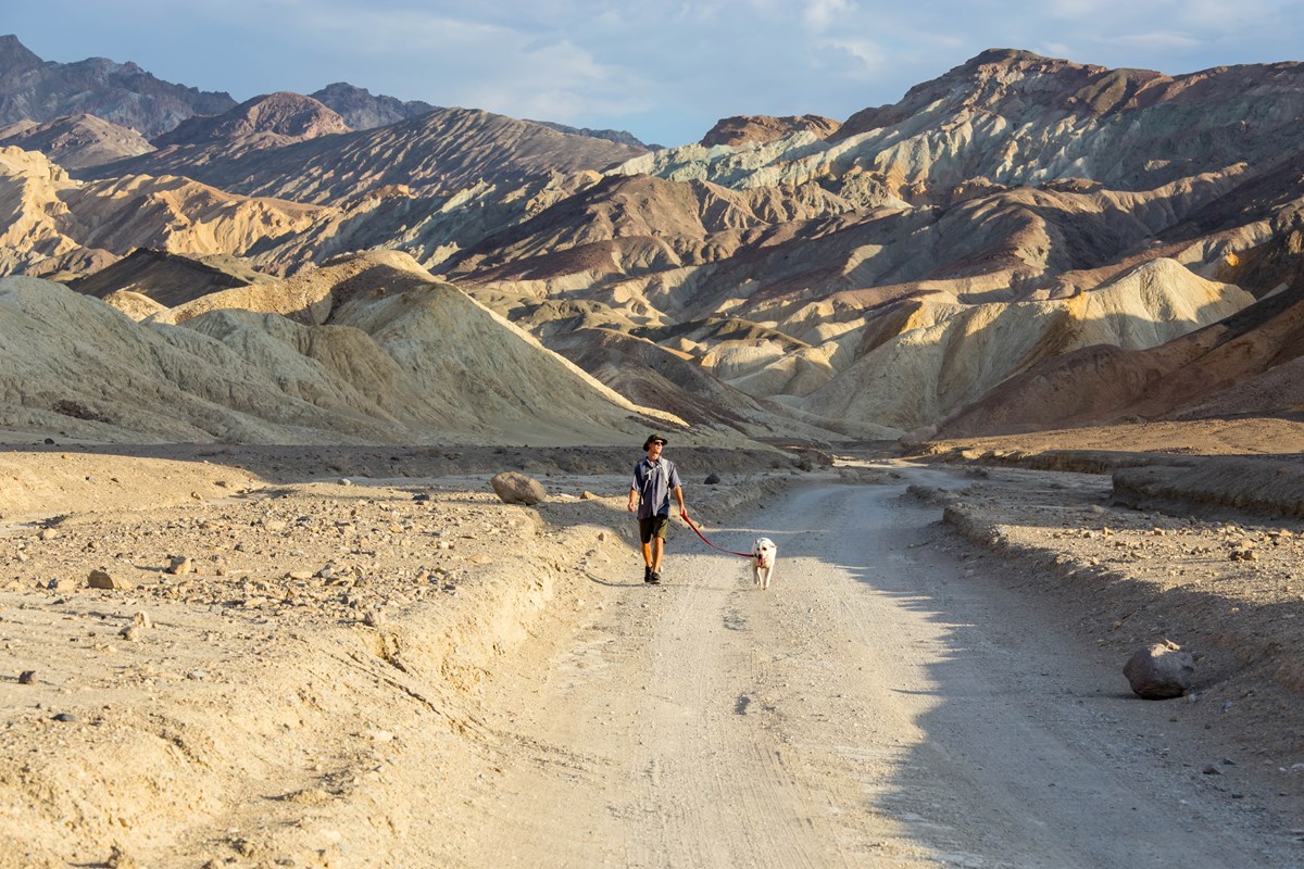 pets death valley national park u s national park service