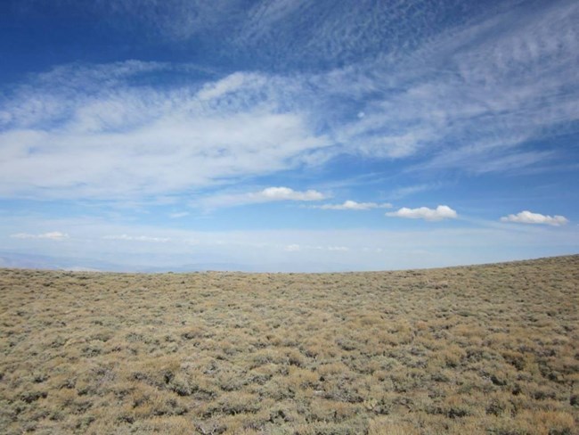 A high alpine meadow with short vegetation.