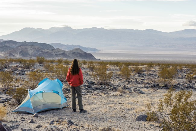 A woman next to a blue tent stares away from the camera across a desert landscape toward desert peaks.