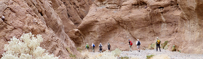 Death Valley Paleontology Tour Death Valley Paleontology Tour