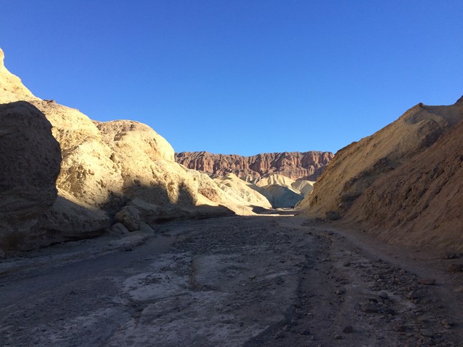 A canyon with golden colored canyon walls.