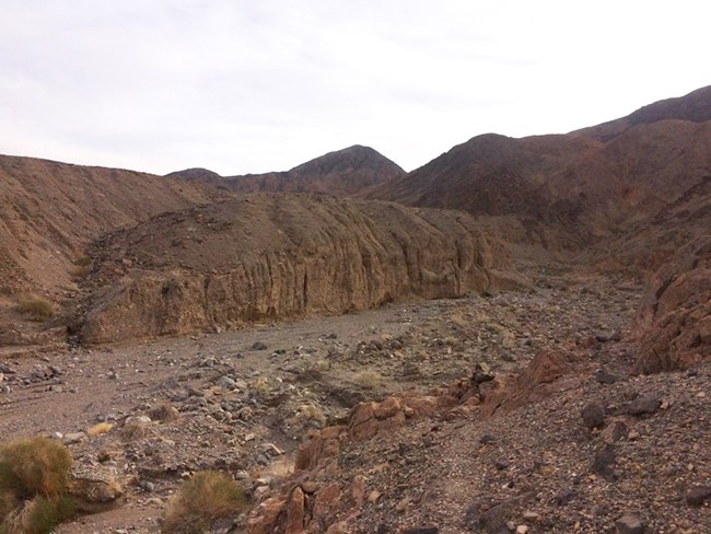 A desert wash with steep walls leads into a canyon.