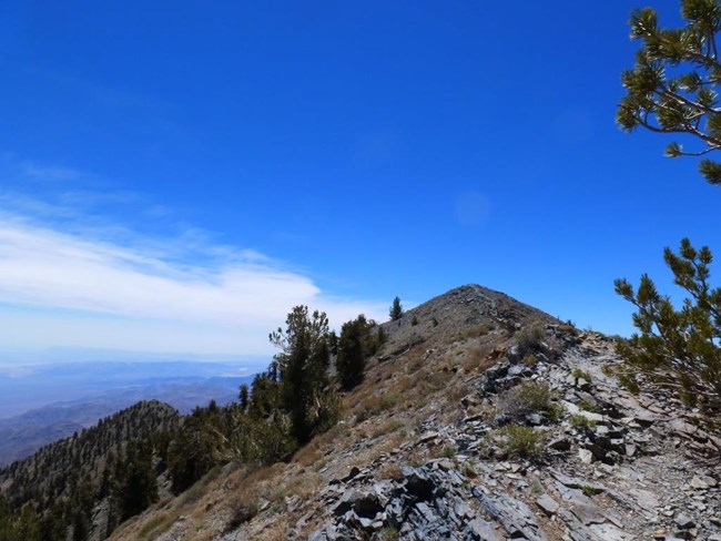 A trail meanders up a narrow ridge toward a mountain peak.