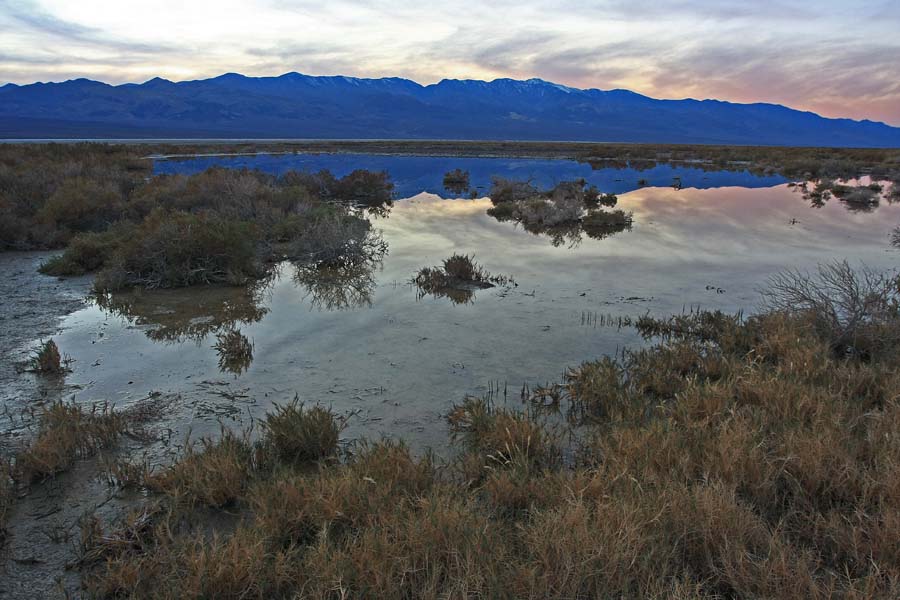 Go low, slow and smaller in winter marshes