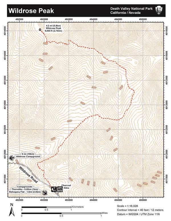 Image of topographic map of Wildrose Peak