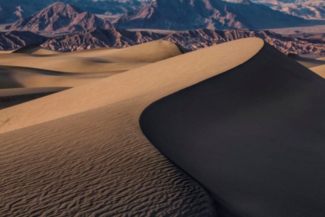 A ridgeline in the sand dunes with mountains in the background