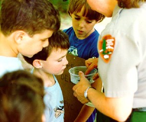 A park ranger showing children macroinvertebrates in a plastic container.