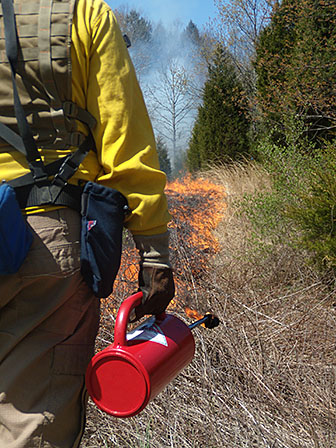 NPS firefighter executing a controlled burn NPS firefighter executing a controlled burn
