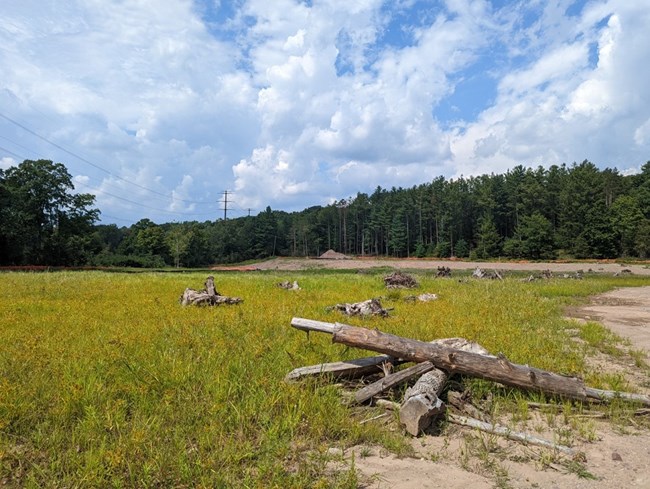 In the foreground, there are several logs placed on top of each other to resemble downed wood in a natural setting. These structures can be seen throughout an open wetland area with green vegetation and trees in the background.