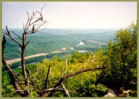 River valley with fields and forests