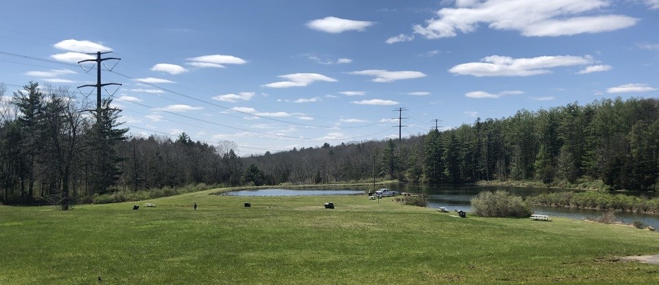 A blue sky over a large, grassy lawn with a large pond and trees and the background. Visible above the treetops is the Susquehanna-Roseland transmission line.
