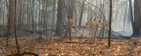 firefighters apply water to edges of fire