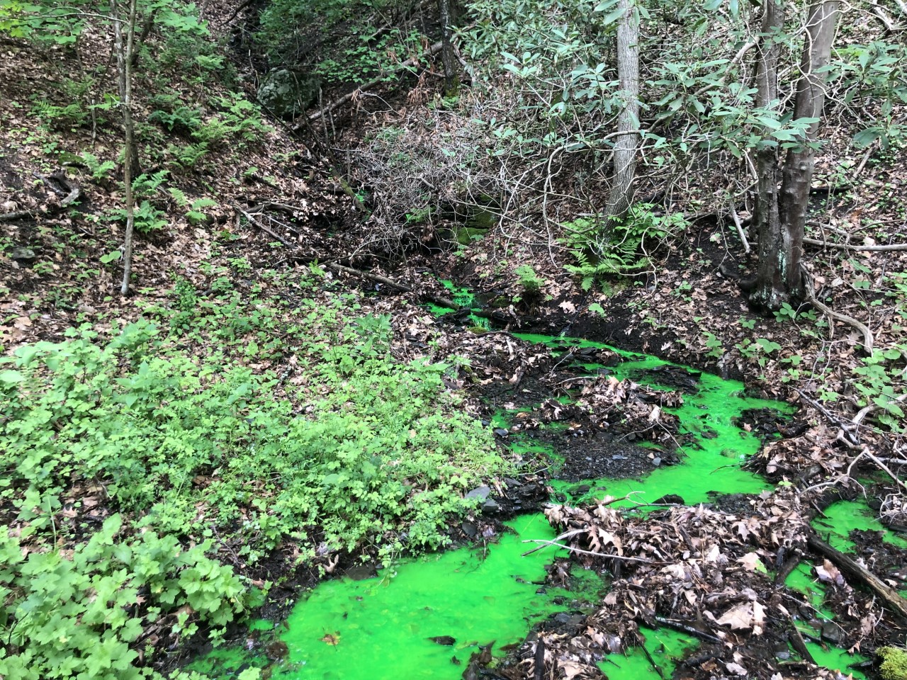 Fluorescent yellow-green dye helps scientists determine the pathway taken by stormwater. The dye is not harmful Fluorescent yellow-green dye shows the pathway taken by water.