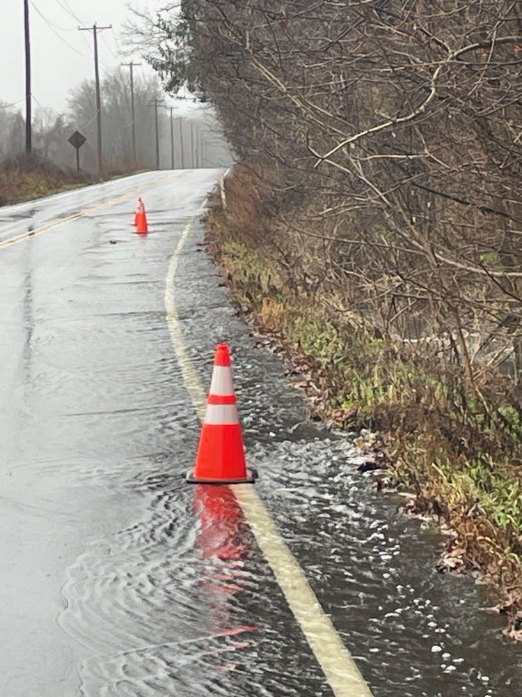 Water on Route 209 Flowing water on a roadway. Orange cones mark off deeper areas to alert motorists. The road is lined by forest.