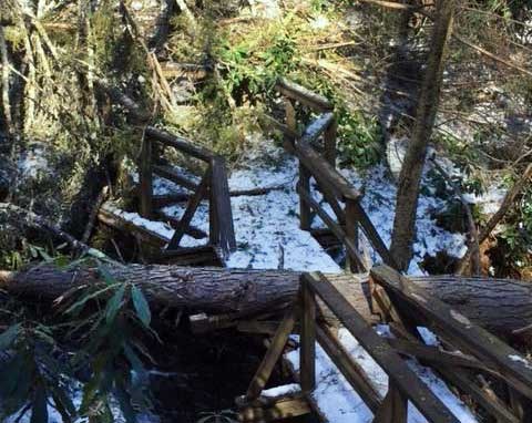 Dingmans Creek Trail damage broken boardwalk and railing due to fallen trees and branches