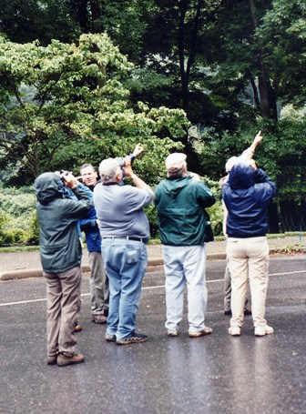 Group of people looking and pointing upward