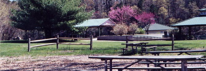 An enclosed area with picnic benches and trees in spring flower in the distance