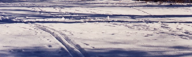 A set of ski tracks in a snowy trail