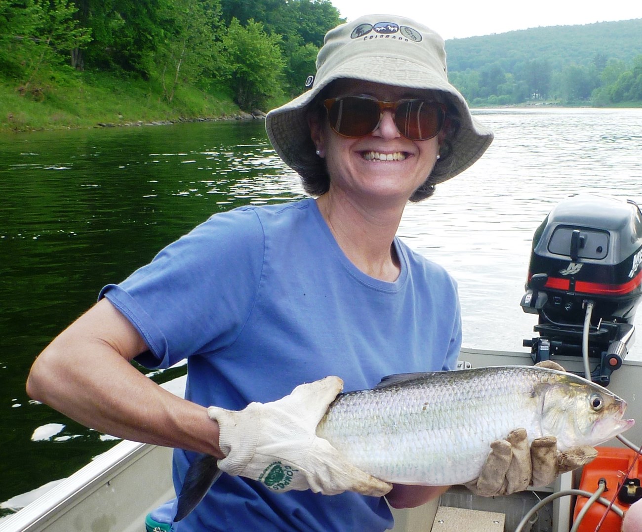 A woman in a fishing hat smiles as she holds an American Shad caught from a boat on the Delaware River. NPS Photo