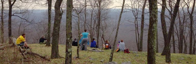 group of people sitting in open forest on an overlook group of people sitting in open forest on an overlook