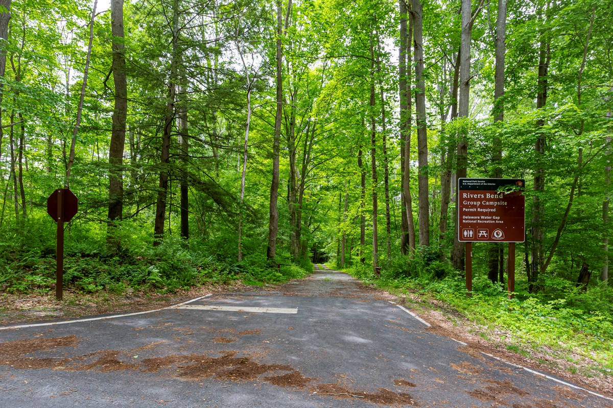 The entrance to Rivers Bend Group Campground takes you down a tree lined path