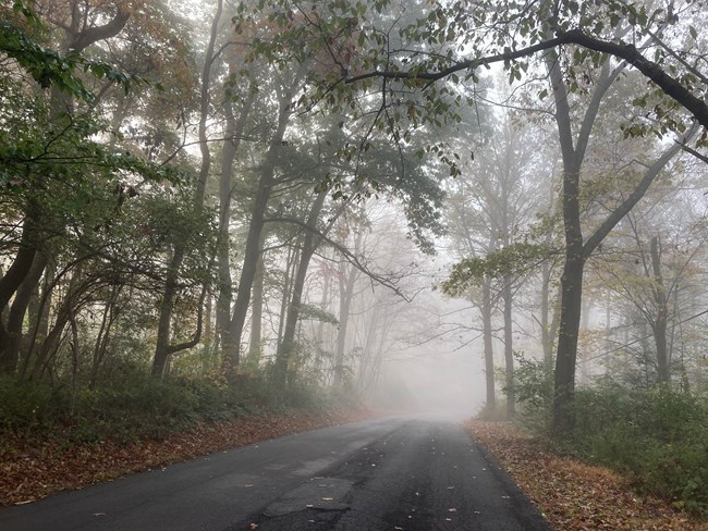 Old Mine Road with fog hanging over and brightly colored fall leaves.