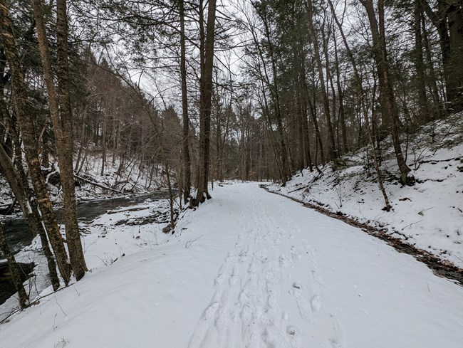 A snowy trail following a creek.
