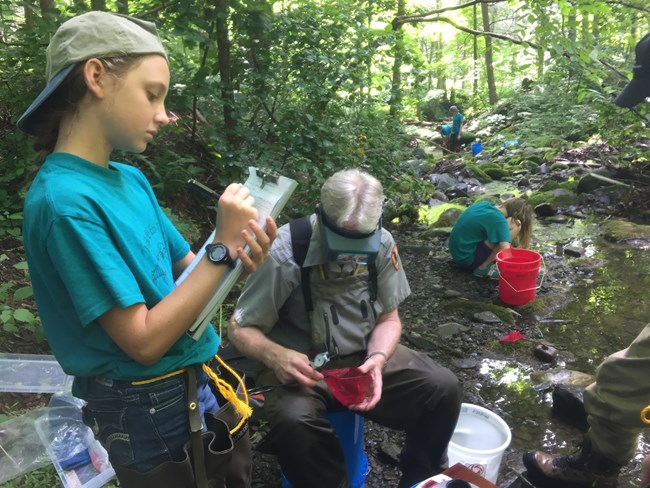 Students working with NPS staff to identify and remove Rusty Crayfish from one of the parks streams. NPS Photo
