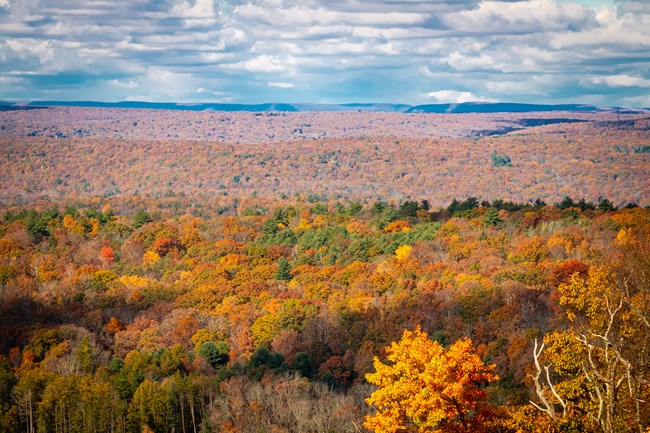 A series of low ridges covered in forest full of fall colors goes for at least 30 miles into the distance
