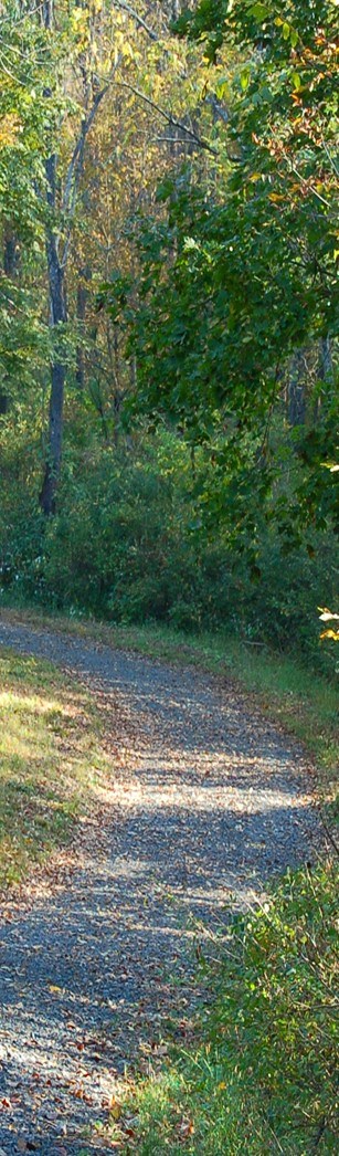 A slim image of the McDade Trail.