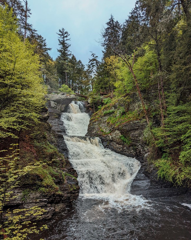 A waterfall surrounded by dark rock and bright green trees.