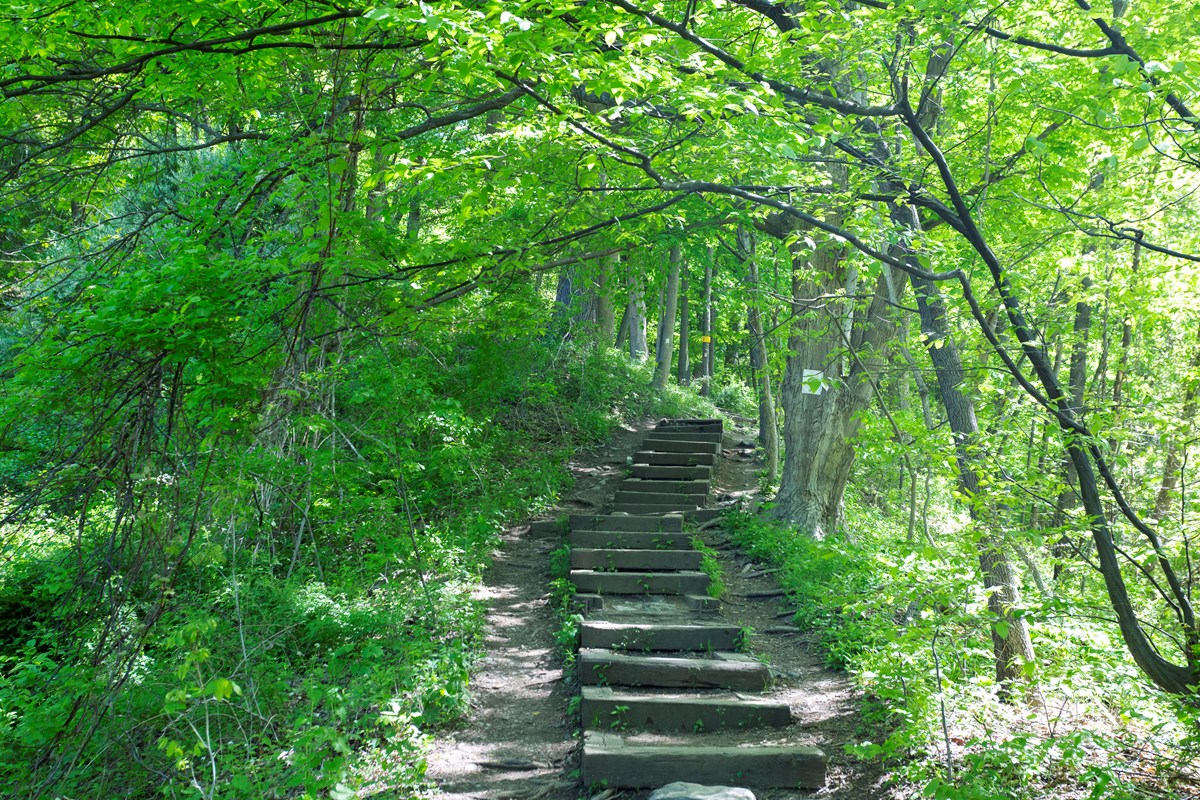 Delaware Water Gap Hiking Trails Hiking - Delaware Water Gap National Recreation Area (U.s. National Park  Service)