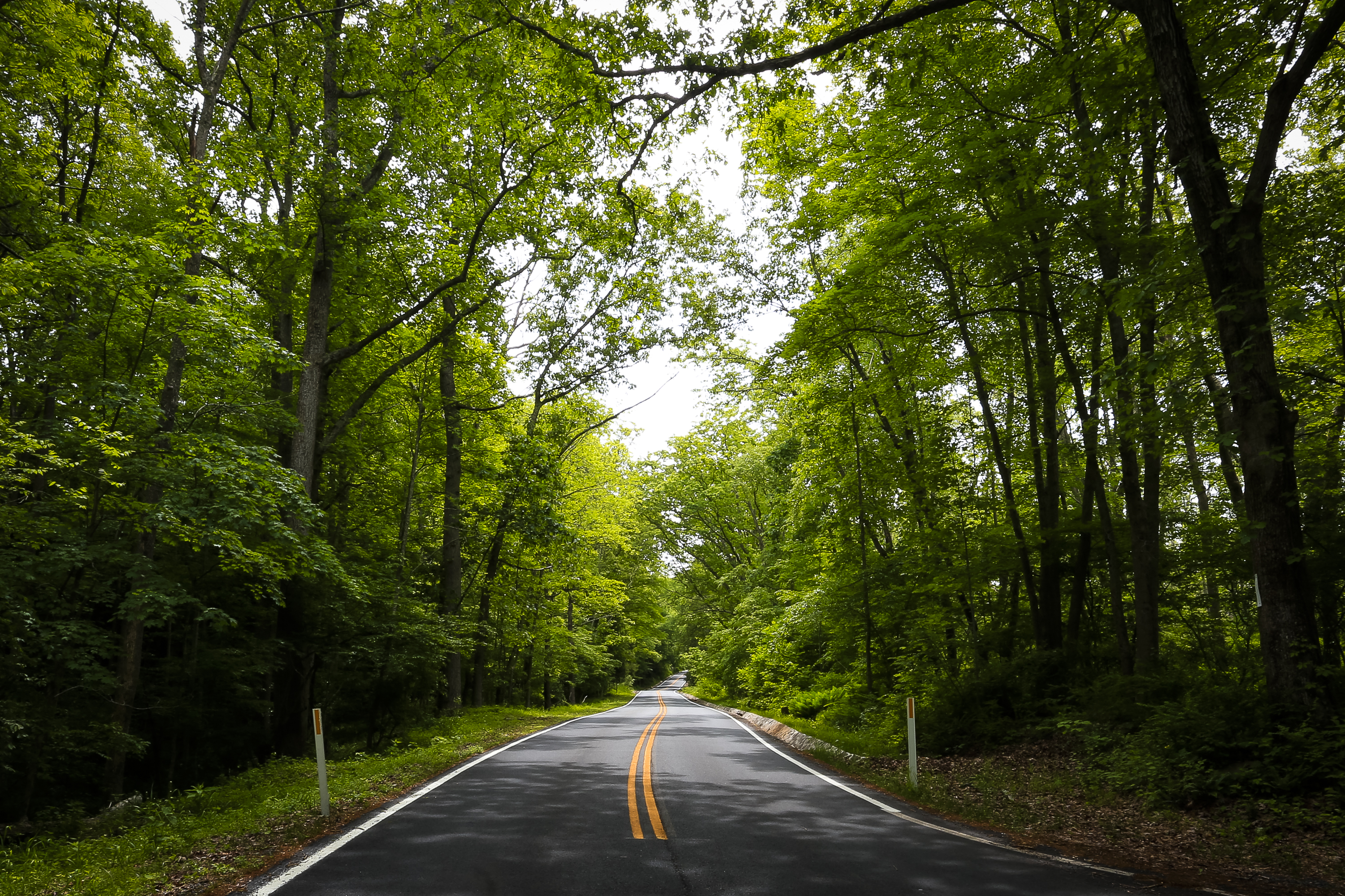 Scenic Drives - Delaware Water Gap ...
