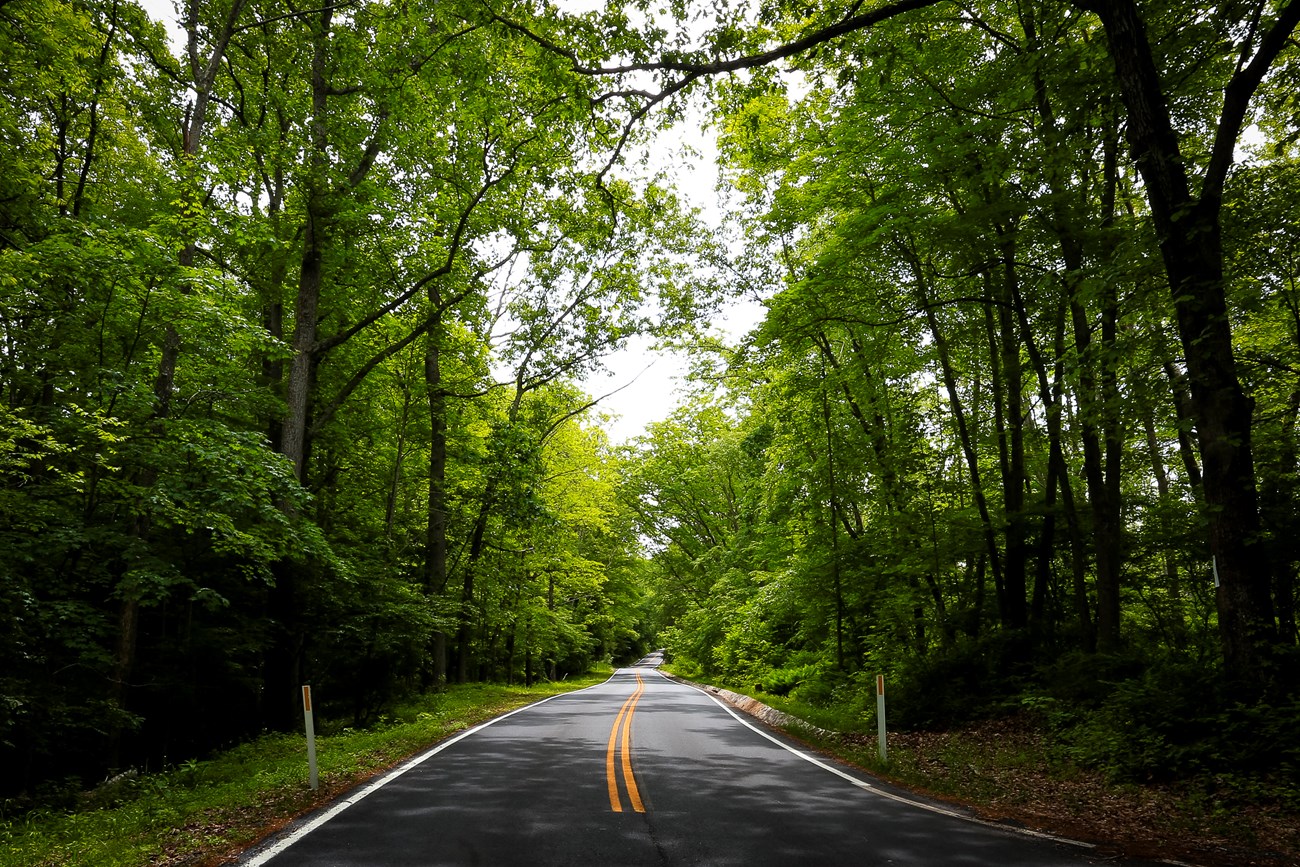 A road in Sussex County, NJ that stretches away with trees on both sides