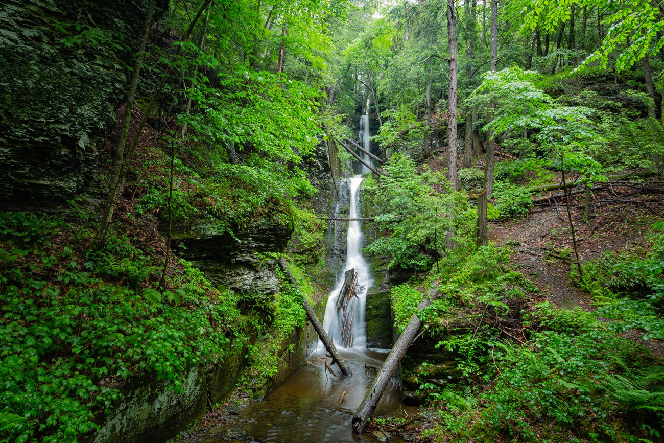 Silver thread Falls is a tall but very narrow waterfall surrounded on both sides with moss covered rock