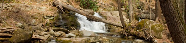 Dunnfield Creek Falls in Worthington State Forest in New Jersey