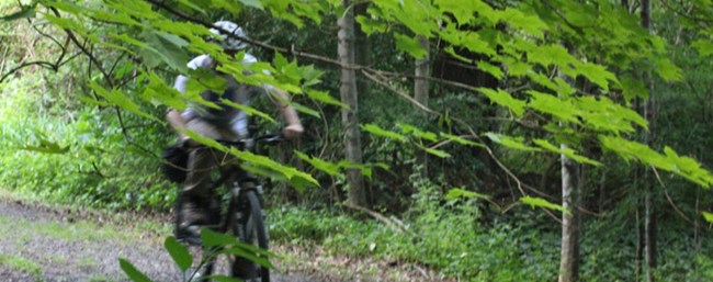 bicyclist on trail bicyclist on trail