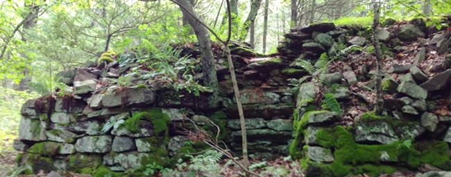 remnants of a kiln with plant overgrowth