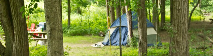 tent nestled amoung trees tent nestled amoung trees