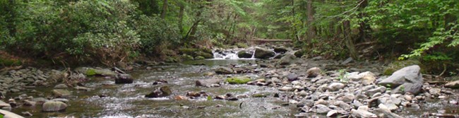 creek with lots of cobble stone